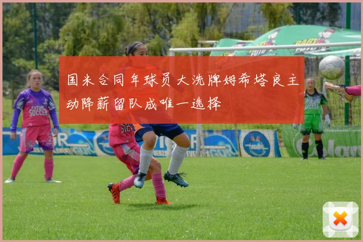 国米合同年球员大洗牌姆希塔良主动降薪留队成唯一选择